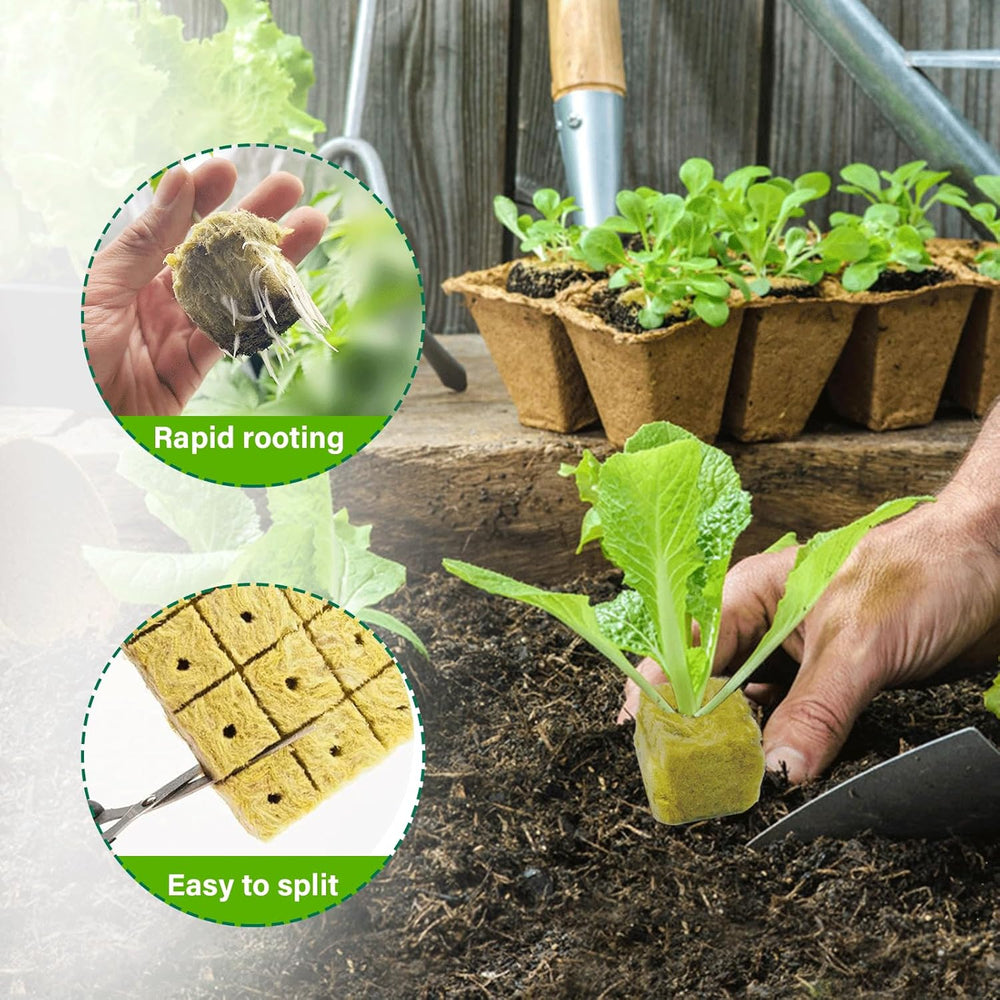 100 Stück Steinwolle Anzucht Würfel 2,5x2,5x2,5CM Kostka z wełny mineralnej Anzuchtmatte Steinwolle Anbau Hydrokultur Umpflanzen für Bodenlose Anzucht Setzlinge Stecklinge Klonpflanzen