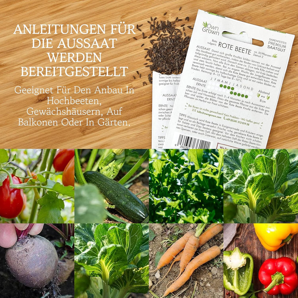 Zestaw nasion warzyw OwnGrown - 12 Pflanzensemen Sorten für Hochbeet und Garten - Praktische Box mit Gemüsesamen für den Anbau Frischer Ernte zu Hause - Ideal für Gartenliebhaber
