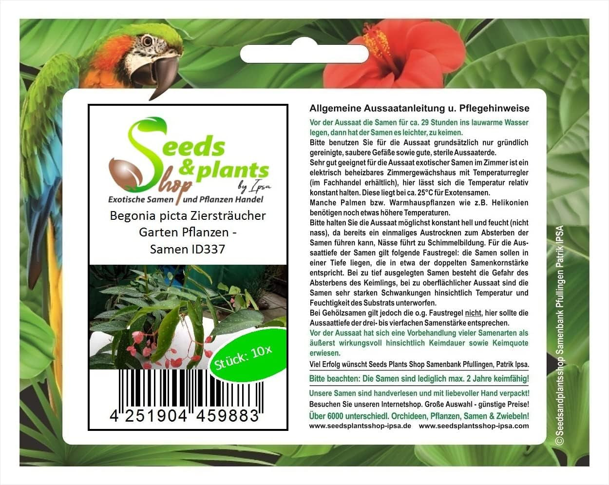 Stk - 10X Begonia Picta Ziersträucher Garten Pflanzen - Samen ID337 -