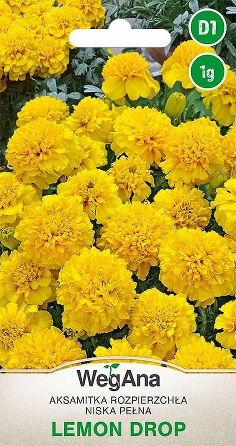 Cosmos Sensation Mix 1g nasion, Cosmos Mix Kwiaty letnie, Rośliny ogrodowe Rośliny balkonowe, Nasiona kwiatów