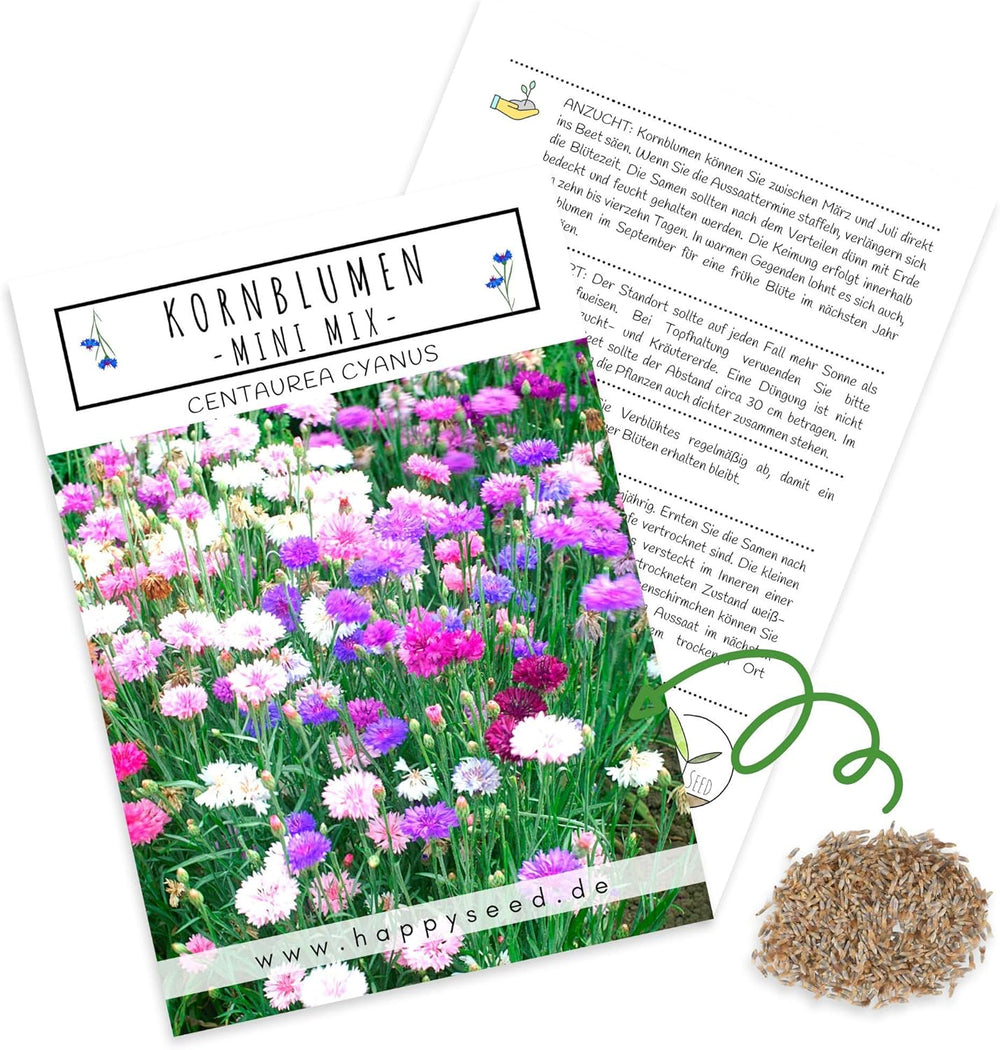 Nasiona Centaurea cyanus - Piękne i żywe kwiaty o długim okresie kwitnienia na kolorową łąkę kwietną (Mix, 1000 nasion, 80 cm)