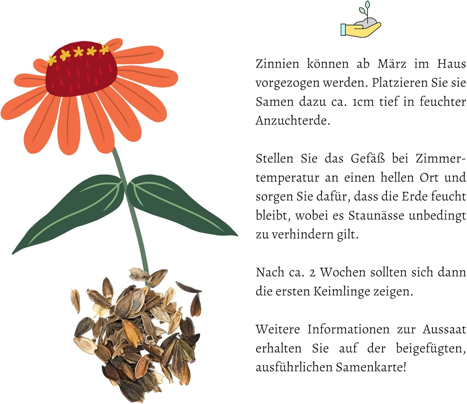 Mieszanka nasion cyni (Cynia) - Kolorowe, letnie kwiaty do rabatek, balkonu, tarasu oraz jako kwiaty cięte w wazonach