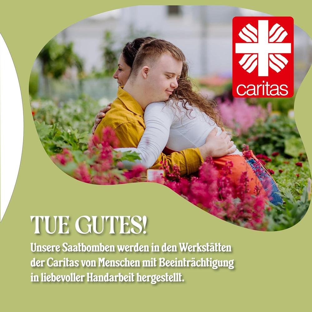 LouMaxx 10x3 ręcznie robiony zestaw bomb z nasionami, prezent w formie bomby z nasionami, nasiona kwiatów jako upominki na przyjęcia, zrównoważone nasiona na upominki dla dzieci, ekologiczne kulki do sadzenia z ponad 50 rodzajami nasion kwiatów