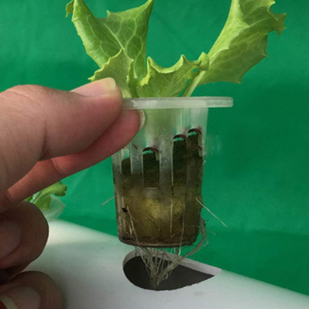 1-warstwowy zestaw do uprawy hydroponicznej z 54 doniczkami, bezglebowe systemy do uprawy roślin z PCV z pompą wodną, ​​zestawy do uprawy hydroponicznej do uprawy warzyw i owoców na balkonach, ogrodach, tarasach i podwórkach