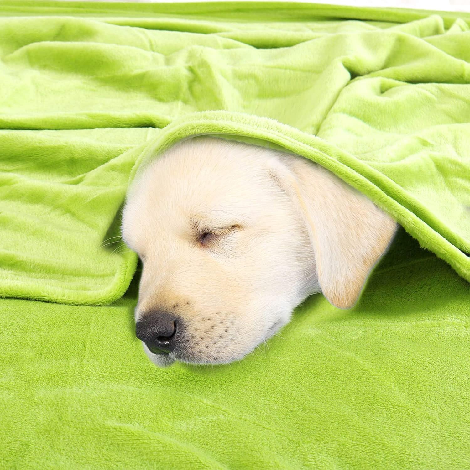 Sourcing Map Cosy pătură cuvertură de pat Soft & cald fleece pătură ca canapea pătură Canapea pătură Living și cuddly pătură Pătură de lână din catifea moale pluș măr verde 150X200Cm Paturi si Cuverturi uxcell