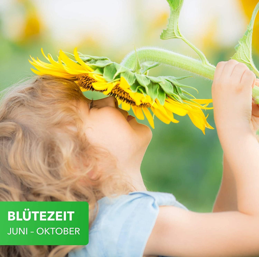 Magia Natury 800gr. Blumensamen Mischung - Bienen Paradies - Blühfreudige Bienenweide für 150 bis 250 m²