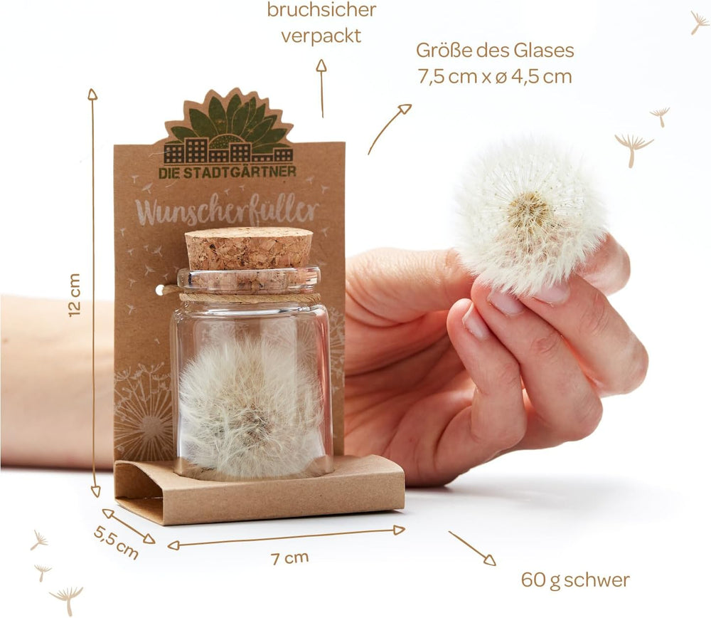 Die Stadtgärtner – 3X Wunscherfüller I Echte Pusteblume Im Glas I Ewig Haltbar I Perfekte Geschenkidee Für Jeden Anlass I Geschenke Für Frauen & Freundin