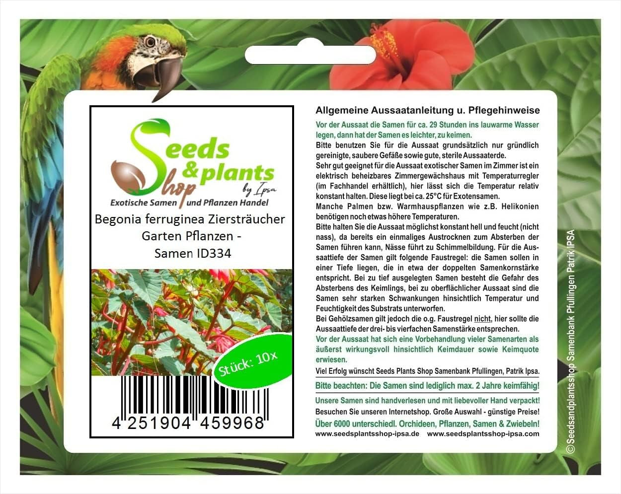 Stk - 10X Begonia Ferruginea Ziersträucher Garten Pflanzen - Samen ID334 -