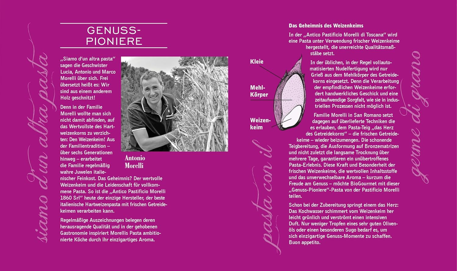 BioGourmet Pappardelle z kiełkami pszenicy - Organiczny szeroki makaron do gulaszu i sosów - z dodatkowymi składnikami odżywczymi | 500 g Organiczne i wegańskie