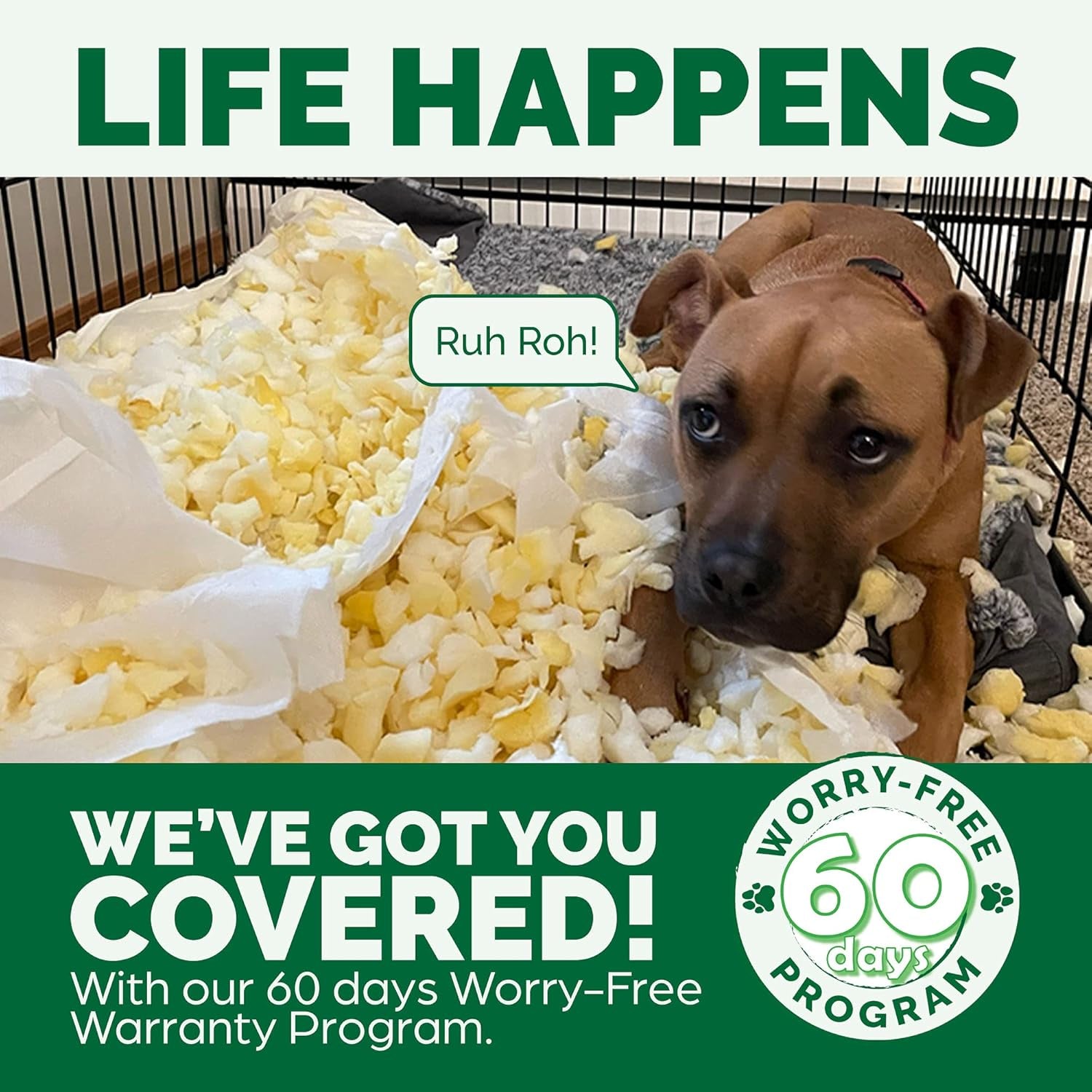 Paturi, cuverturi & mobilier, animale de companie, pisici, paturi pisici, Pisici - culcusuri, saltele