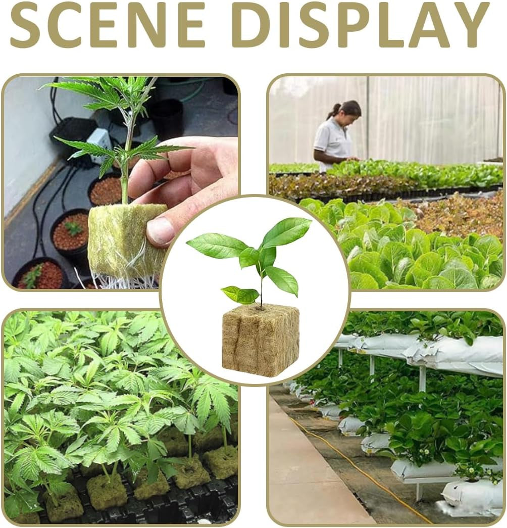 Kostki do sadzonek wełny mineralnej 28 - Kostki do sadzonek wełny mineralnej 4x4x4cm - Kostki do sadzonek, kostki wełny mineralnej, systemy sadzonek hydroponicznych/rośliny klonowane/projekty szkolne, uprawa sadzonek bez gleby