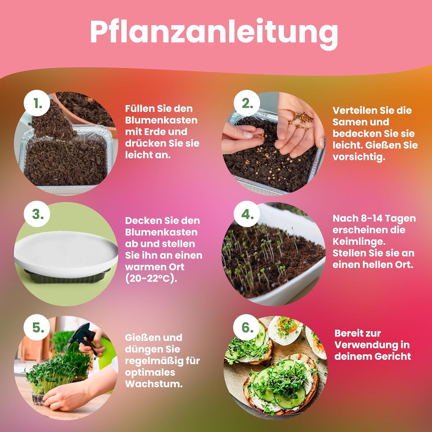 LERAVA Kräutersamen Set – 12 Sorten: Basilikum Samen, Parsilie Samen, Koriander, Oregano & mehr – Saatgut für frische Kräuter im Garten oder Topf, Premium Samen für Küche & Balkon - Zestaw Samen, nasiona