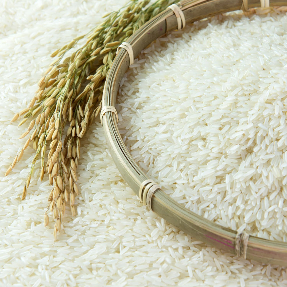 - Langkornreis w stylu amerykańskim - 1 X 20 KG