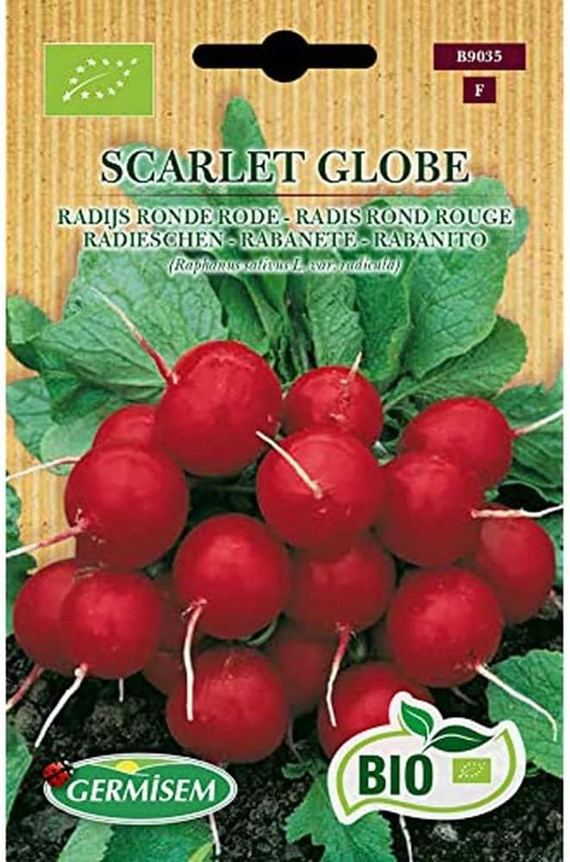 Radieschen OSTERGRUSS ROSA 2, ECBIO9036