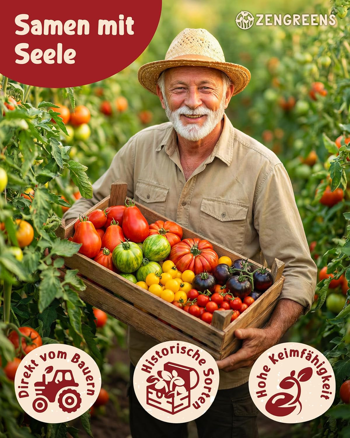 Bio Tomatensamen Im 10Er Set - 10 Tomaten Samen Für Den Einfachen Anbau Im Garten, Balkon Oder Hochbeet - Pflanzensamen - Saatgut