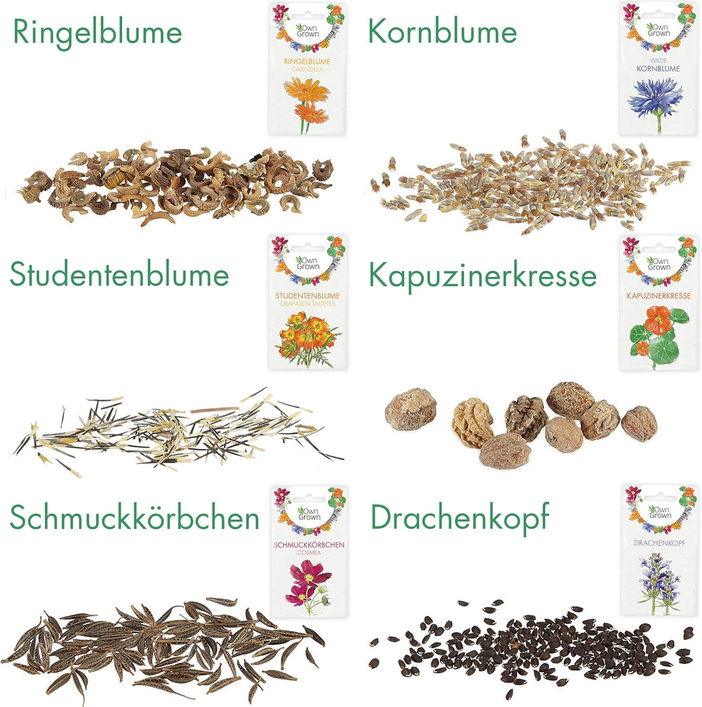 Essbare Blumen Samen Set : Delikatess Blüten Blumensamen Set mit 6 Sorten Blumen Saatgut – Essbare Blüten Samen – Essbare Blumen für Torte – Essbare Blüten Tortendeko – Blumen Essbar von OwnGrown