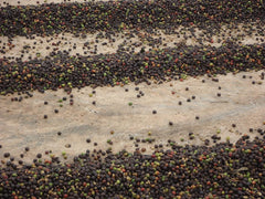 KAWIARNIE GUILIS SINCE 1928 AMANTES DEL CAFÉ - Kawa ziarnista Arabica bezkofeinowa 1 Kg Coffee Naty Shop