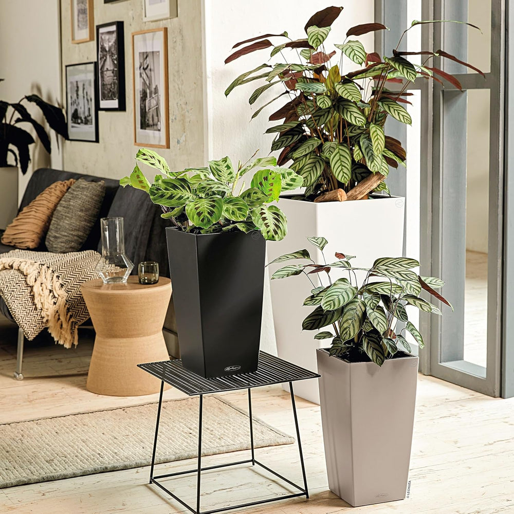 LECHUZA CUBICO Culoare 30 gri ardezie 13138, 29,5x29,5x56,5 cm