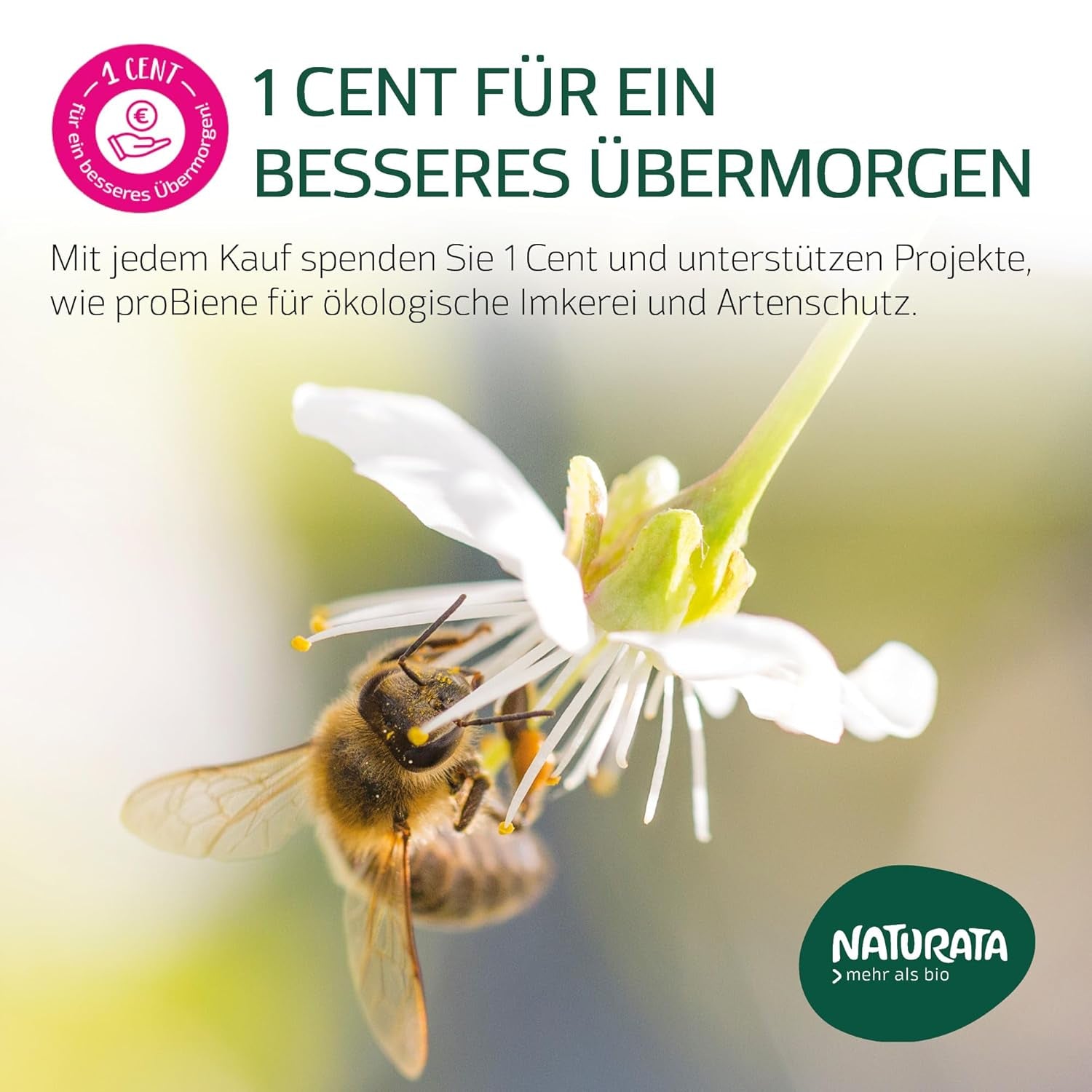 Organiczne arkusze lasagne w całości orkiszowej, 250g | Zaklęcie Demeter z Alp Szwabskich | Delikatny orzechowy aromat do lasagne i zapiekanek