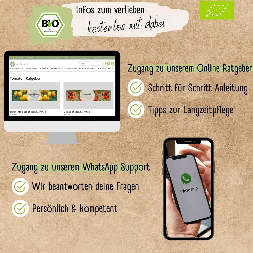 Organiczny mini zestaw nasion pomidorów: 12 odmian wolno uprawianych pomidorów | Rzadki i rodzinny koktajl, nasiona pomidorów z wiśniami i befsztykiem | Nasiona warzyw na balkon, podwyższoną grządkę, do ogrodu i na prezent | Rośliny miłosne