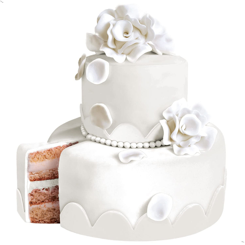 Günthart BackDecor 250 g fondant alb, 100% vegan, fără ulei de palmier, rezistent la rupere pentru a acoperi prăjituri și produse de patiserie, potrivit pentru modelare, pachet de 2 (1 x 250 g) Pasta de zahar Naty Shop