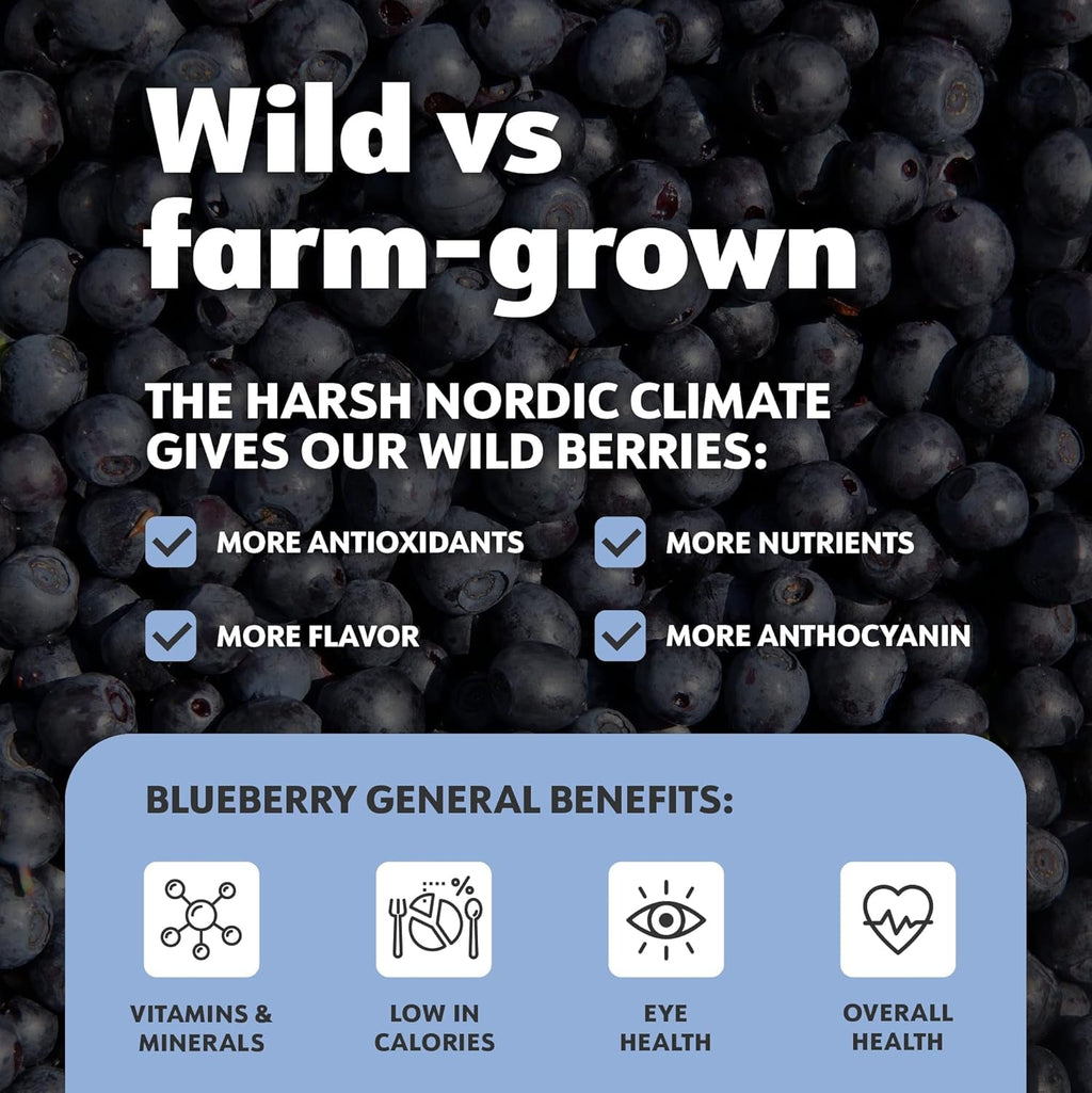 LOOV Organic Wild Blueberry Powder - rezervă pentru 29 de zile, 171 g, bună pentru smoothie-uri și mic dejun, congelată și uscată, din Europa de Nord, fără zahăr adăugat Produse deshidratate Naty Shop