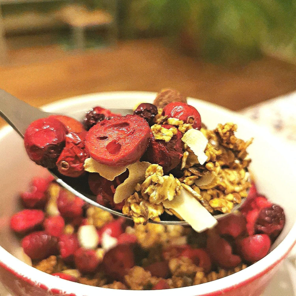 Merișoare liofilizate fără zahăr | XL 250g Merișoare liofilizate naturale neîndulcite | Fructe liofilizate naturale sălbatice | Merișoare liofilizate | ZingyZoo Produse deshidratate Naty Shop