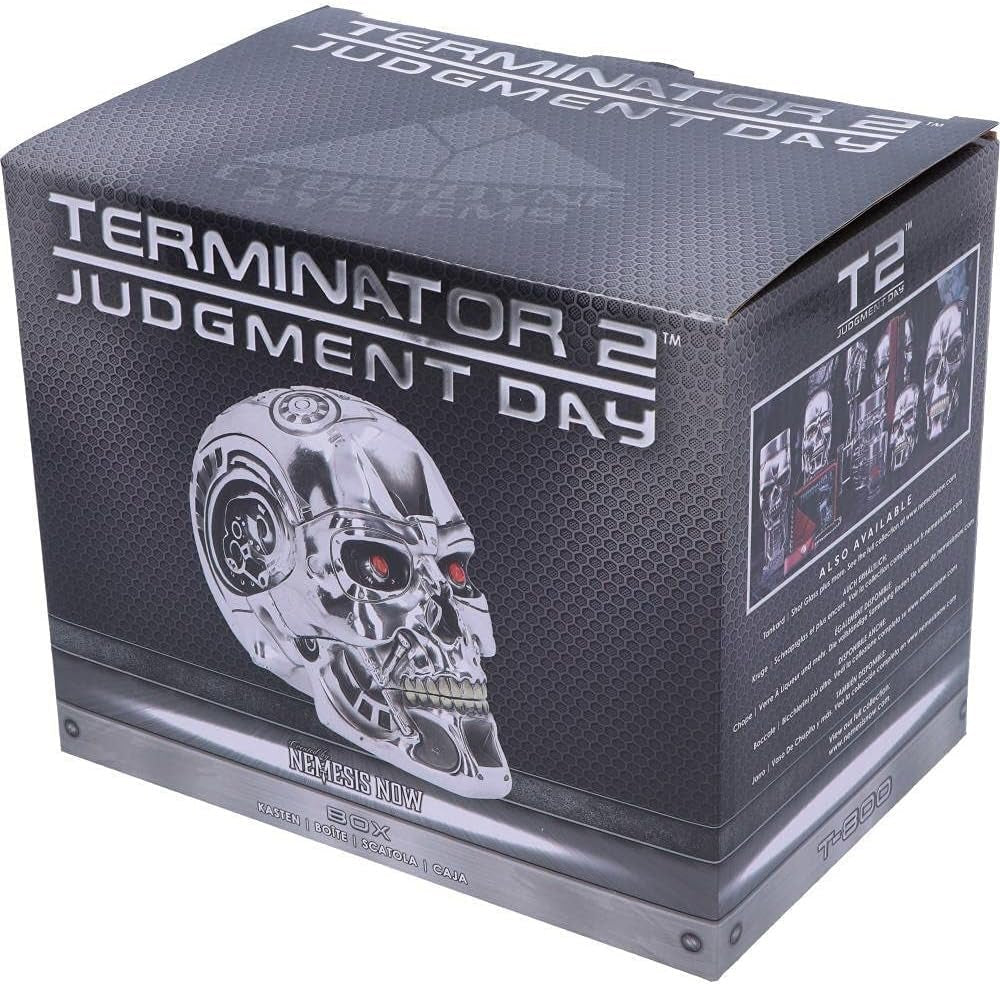 Nemesis Now, T Box, 18 cm, argint, rășină, mărime unică Statuete si sculpturi Naty Shop